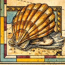 Clam