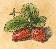 Strawberry2