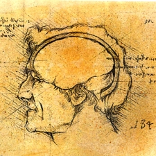8-Medical